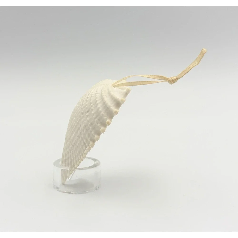 Margaret Furlong Bisque Porcelain Heart Seashell Ornament Wings Of Love 2.5